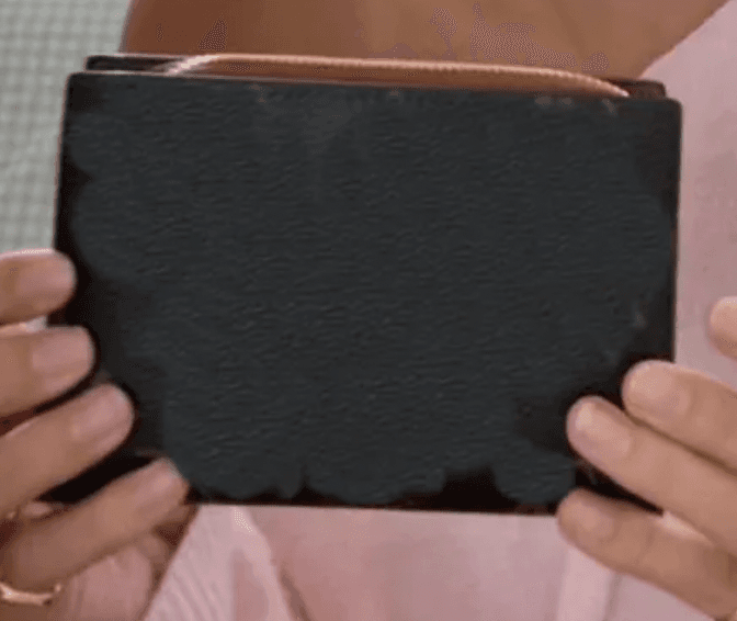 LV Wallet